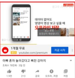 이미지명